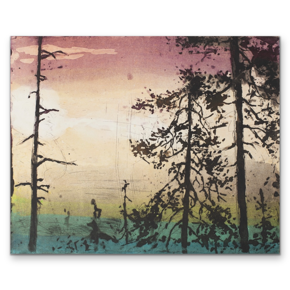 Kristian Finborud - Skogskveld square