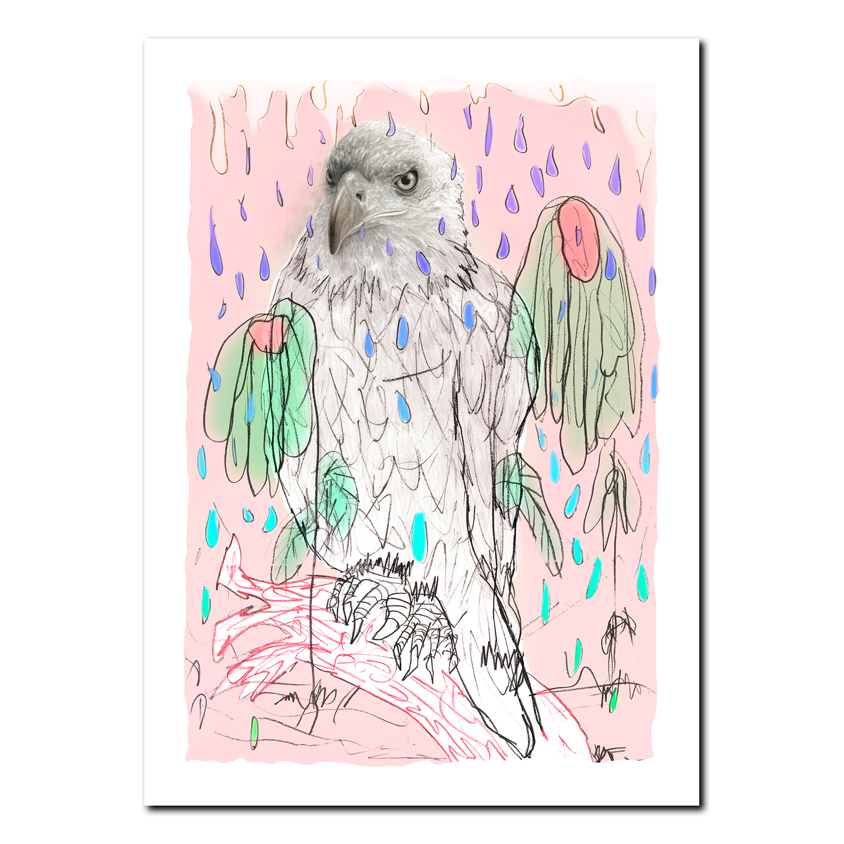 Nikolai Torgersen - RN Collectors square