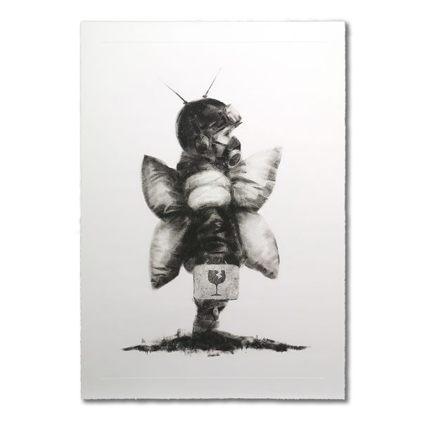 AFK - Fragility 77x112 (main)